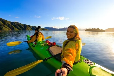 Disfruta la tranquilidad de queen charlotte sound en kayak, avista rayas y pingüinos, y escucha historias locales con guía experto. incluye equipo y grupos reducidos.