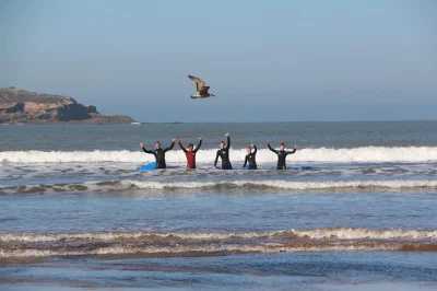 Spüre die atlantikbrise in essaouira beim surfen lernen mit einem lokalen surfer, inklusive gratis fotos und entspanntem tee oder kaffee danach. abholung inklusive.