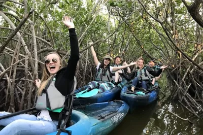 Explorez les tunnels de mangroves de cocoa beach en kayak, observez de près lamantins et dauphins, et pagayez dans les thousand islands en petit groupe. matériel et photos inclus.