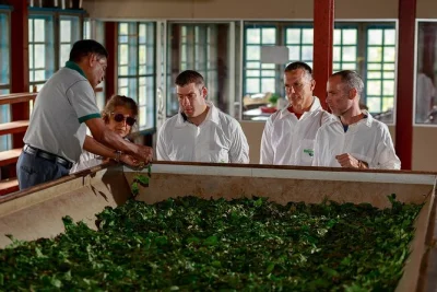 Step inside ella’s uva halpewatte tea factory for a hands-on tour, guided tea tasting, and a walk through lush plantations. includes entry fees and local guide.