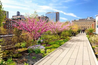 Erlebe manhattan auf der high line, schlendere durch die kunstviertel von chelsea und probiere köstlichkeiten im chelsea market – kleine gruppe mit lokalem guide inklusive.