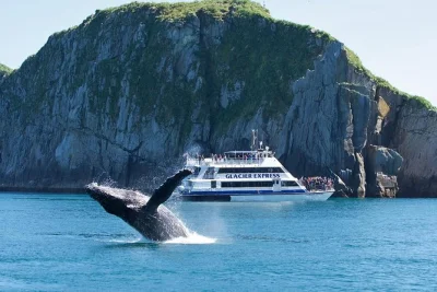 Desde seward, disfruta un crucero de día completo por kenai fjords: avista ballenas, nutrias marinas y frailecillos, detente junto a glaciares y disfruta de un almuerzo con narración incluida.