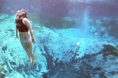 Découvrez les three sisters springs à crystal river en kayak et nage. matériel complet, guide local, et respect de l’environnement inclus. réservez votre aventure authentique en floride.