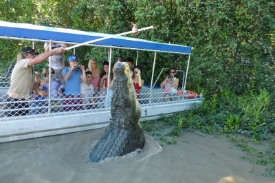 Vivi l’emozione di vedere coccodrilli selvatici saltare accanto alla tua barca sull’adelaide river, osserva uccelli autoctoni e ascolta le storie delle guide locali. gruppi piccoli con guida autor