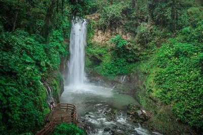 Viva a experiência das cataratas la paz na costa rica em um tour privado. conheça cachoeiras, animais resgatados e trilhas na floresta nublada. almoço e transporte inclusos.