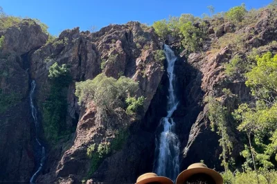 Scopri le acque cristalline di berry springs, cammina tra le cascate di litchfield e gusta un picnic all’aperto in questo tour in piccolo gruppo da darwin. include pickup, guida e frutta fresca.