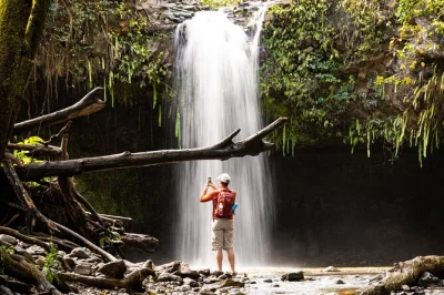 Entdecke mauis grüne täler, schwimme unter wasserfällen und genieße ein frisches mittagessen nach der wanderung mit einem lokalen guide. inklusive hoteltransfer und kleine gruppe.