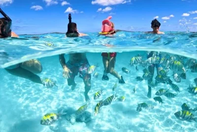 Swim with pigs, snorkel coral reefs, and meet turtles on a nassau day trip. relax at a private beach club with lunch included and drinks always available onboard.