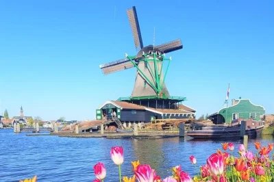 Scopri i mulini a vento di zaanse schans, assaggia il gouda fresco in una fattoria vicino a volendam e guarda gli zoccoli prendere forma. con autista privato e degustazione di formaggi.