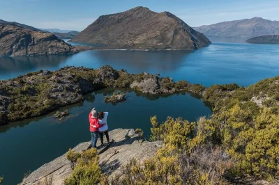 Desde wanaka marina, toma un taxi acuático para una aventura en mou waho: avista aves nativas, escucha historias locales y disfruta más de 1.5 horas para explorar.