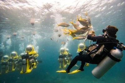 Feel the rush of an underwater scooter in st thomas, snorkel vibrant reefs, relax on a yacht’s sun deck, and enjoy snacks—all with a small group and local guides.