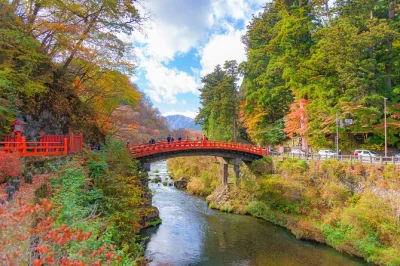 Scopri i vivaci santuari di nikko, ascolta il fragore delle cascate kegon e passeggia lungo le tranquille rive del lago chuzenji in una gita guidata da tokyo con pranzo incluso.