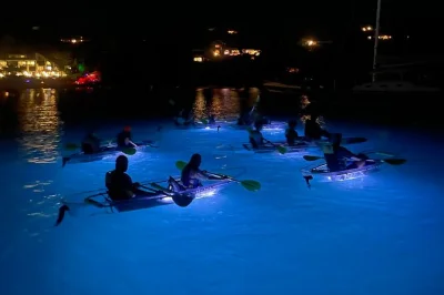 Step into glowing clear kayaks at st. john’s westin resort, paddle under stars, spot marine life, and laugh with local guides. includes all gear and glow paint.
