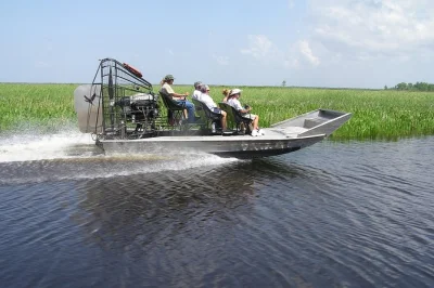 Erlebe den nervenkitzel einer schnellen airboat-fahrt durch die bayous von louisiana nahe new orleans, entdecke wildtiere und lausche lokalen geschichten. inklusive hotel-abholung und kleine gruppe.