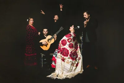 Feel the raw emotion of granada’s flamenco at tablao casa ana, with live guitar, singing & dance in an intimate setting. includes accessible entry—book seats easily.