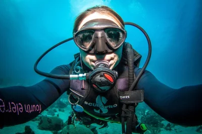 Swim curacao’s vibrant reefs with a small group guided shore dive, all gear included. local guides, cookies, and photos—just bring your certification card.