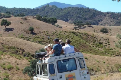 Feel the wild side of andalusia on a jeep eco tour from marbella or estepona, with white villages, river swims in summer, and a local lunch—hotel pickup included.