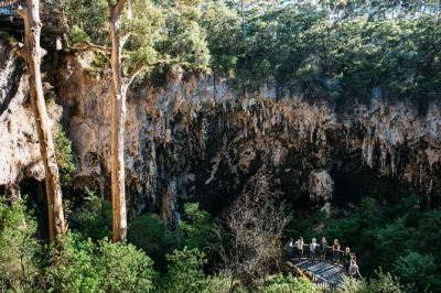 Entdecke lake caves versunkenen wald, steig hinab in die dolinenöffnung und bewundere seltene kristallformationen im spiegelglatten unterirdischen see. inklusive einstündiger führung.