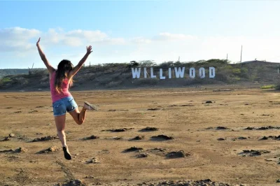 Swim with turtles, spot wild flamingos, and feel the spray at shete boka on a private curacao day trip. includes hotel pickup, snorkeling gear, and local guide.