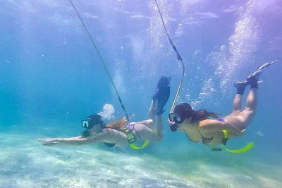 Feel the sea breeze on a punta cana catamaran cruise with hooka diving, snorkeling, open bar, and local guides. includes hotel pickup for easy booking.