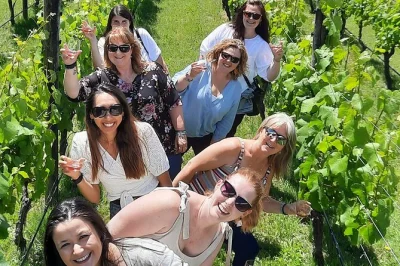 Start your day in wellington and cross the remutaka ranges for a guided martinborough wine tour. taste local wines, meet cellar hosts, and enjoy private transport.