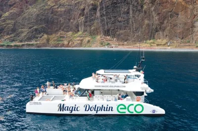 Scopri l’oceano di madeira a bordo di un catamarano eco con motori ibridi, avvistando delfini, balene e tartarughe marine con guide locali. include snack e commento dal vivo.