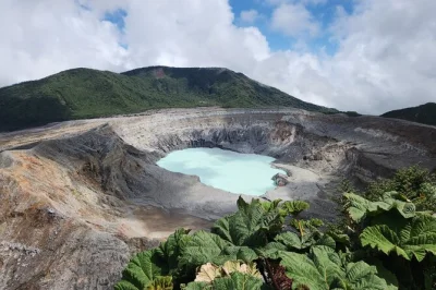 Scopri l’aroma del caffè tostato vicino ad alajuela, cammina sul cratere del vulcano poás e incontra i bradipi salvati alle cascate la paz. pranzo e pick-up inclusi.