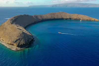 Swim maui’s molokini crater & turtle town at sunrise with a small group. includes premium snorkel gear, snacks, and lunch. early start to beat the crowds.