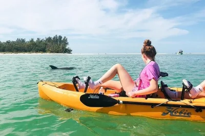 Découvrez la tranquillité des mangroves de marco island en kayak à pédales. observez dauphins, oiseaux et lamantins. tout le matériel, photos et conseils inclus pour un départ facile avec votre 
