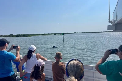 Découvrez st. augustine en croisière nature : observez dauphins, tortues marines et oiseaux locaux avec un guide naturaliste. bar, snacks et parking gratuit inclus.