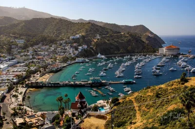 Feel the breeze on a private avalon tour by golf cart, guided by a catalina local. see bay views, hear island stories, and enjoy easy stops—includes all fees.