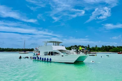 Feel the salt air on a private catamaran cruise from bavaro beach, snorkel tropical reefs, spot dolphins, and swim in a natural pool. includes lunch and drinks.