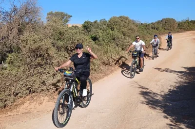 Feel the algarve cliffs on an e-bike & hike tour from lagoa to benagil & marinha beach, with a local guide, small group, and all gear included. pickup available.