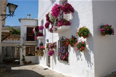 Feel the mountain air of las alpujarras on a day trip from granada, with white villages, artisan tastings, and optional lunch. includes pickup & expert guide.