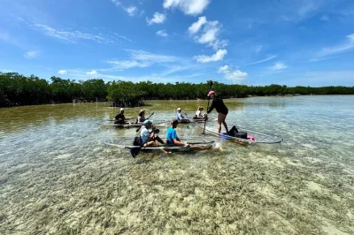 Explorez les eaux limpides de sugarloaf key en kayak transparent, observez la faune marine et glissez au cœur des mangroves avec un guide local — parking gratuit inclus.