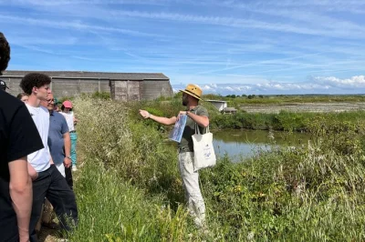Step into guérande’s salt marshes with a local guide, learn centuries-old salt harvesting, and taste fleur de sel. includes seasonal edible plants and easy access.