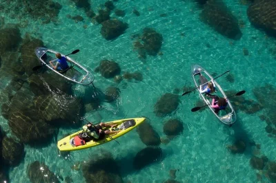 See lake tahoe’s underwater world from a clear kayak, paddle to bonsai rock, and enjoy private shuttle pickup. includes all gear and bottled water.
