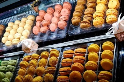 Découvrez le cœur historique de st. augustine en dégustant chocolats et pralines, rencontrez des locaux et écoutez leurs histoires—avec des douceurs à emporter.