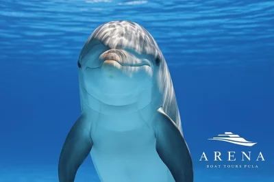 Découvrez pula en croisière au coucher du soleil, avec dauphins, dîner traditionnel istrien, boissons à volonté et guides locaux passionnés. naviguez près des îles brijuni et vivez un moment m