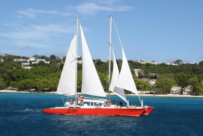 Swim with turtles, snorkel a shipwreck, and relax on a barbados catamaran cruise. includes hotel pickup, local guide, drinks, and lunch option for a laid-back day.