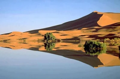 Découvrez erg chebbi au lever du soleil, partagez un thé à la menthe à aït ben haddou, dormez sous les étoiles du désert. transfert, balade à dos de chameau et repas inclus.