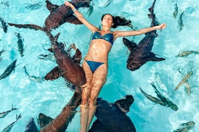 Feel the rush of island hopping from nassau to exuma—swim with pigs, meet nurse sharks, and enjoy a bahamian lunch. includes pickup, guide, and all fees.