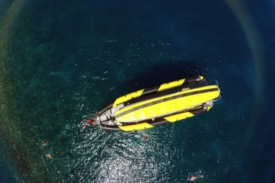 Découvrez le cratère de molokini, nagez avec les tortues près de makena et savourez du banana bread maison. Équipement, crème solaire écologique et ambiance conviviale inclus.