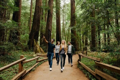 San francisco erleben: chinatown erkunden, durch uralte redwood-bäume in muir woods spazieren und entspannt in sausalito am wasser essen. inklusive transport und lokalem guide.