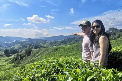 Cool air, tea fields, flower gardens, and a waterfall dip—this cameron highlands day trip from ipoh includes lunch, all entry fees, and a local guide pickup.