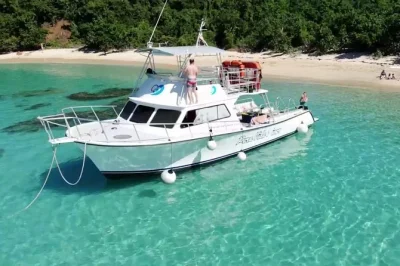 Swim with turtles, snorkel vibrant reefs, and relax on culebra’s white beaches. includes boat ride from fajardo, gear, lunch, and a local guide for a full day escape.