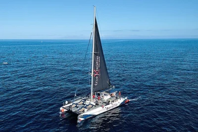 Vivi la brezza marina con un tour eco-catamarano a tenerife per avvistare balene, ascoltare i delfini, fare il bagno e gustare snack locali con bevande incluse. prenota con pick-up.