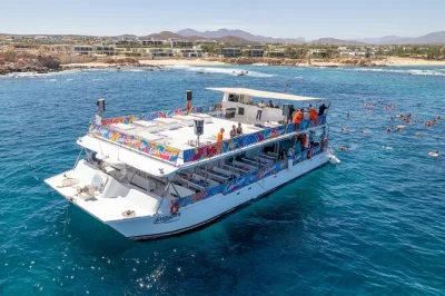 Commencez votre journée à cabo par une croisière jusqu’à land’s end et chileno bay, avec snorkeling dans une eau cristalline, petit-déjeuner mexicain complet et open bar à bord. Équipement 