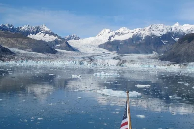Descubre el glaciar columbia, observa nutrias marinas y escucha historias locales en este crucero desde valdez con tripulación experta y almuerzo incluido.
