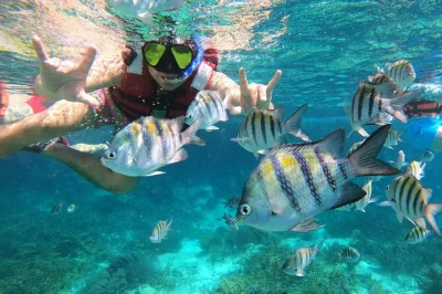 Nagez autour des récifs d’isla mujeres, découvrez le musée sous-marin musa, et savourez un ceviche lors d’une sortie snorkeling semi-privée avec guide local, matériel, boissons et déjeuner i